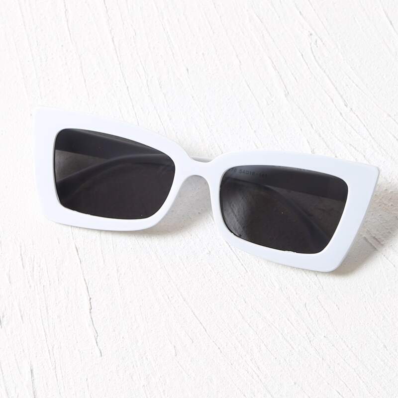 

Acrylic Frame Tinted Lens Sunglasses