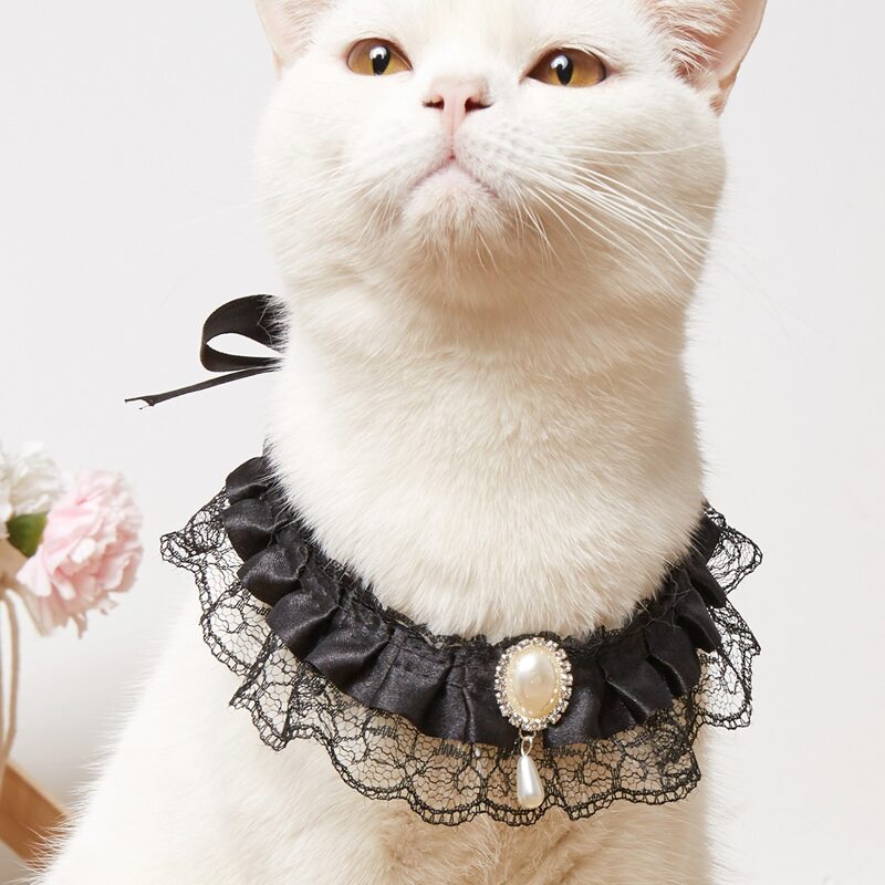 

Pearl Decor Lace Pet Necklace, Black