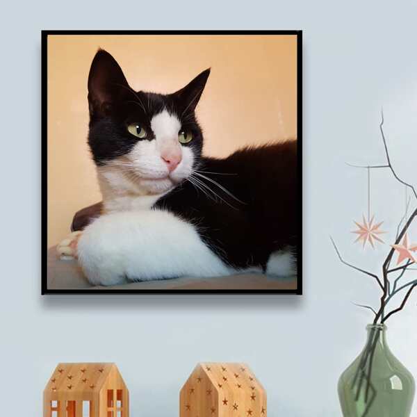 

Cat Pattern Diamond Painting Without Frame, Multicolor