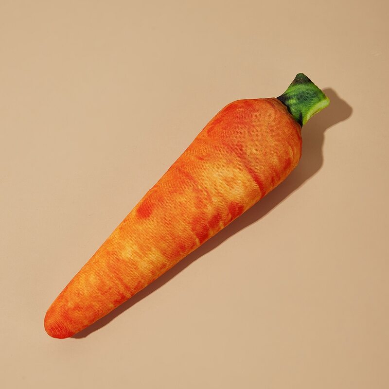 

Carrot Design Pet Sound Toy, Orange
