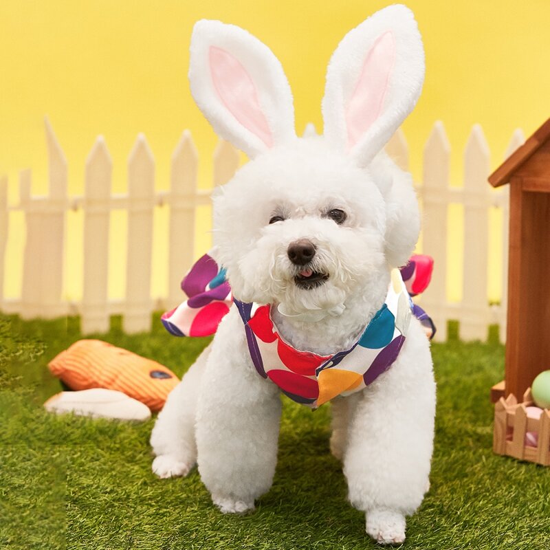 

Rabbit Ear Design Pet Headband, White