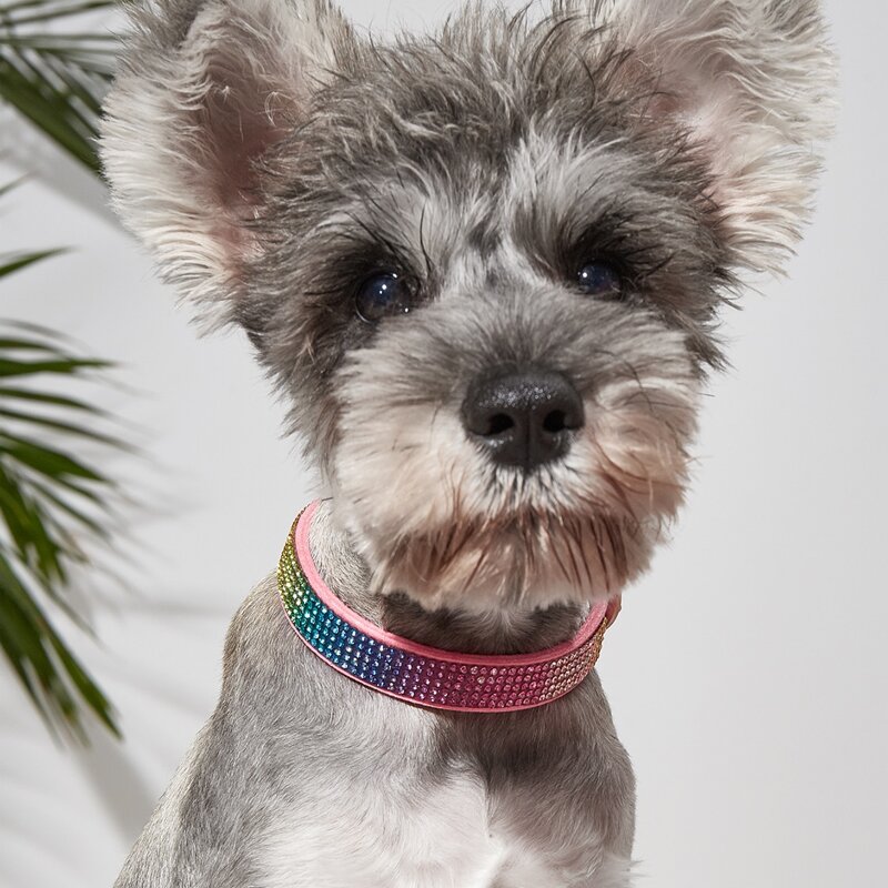 

1pc Rhinestone Decor Pet Collar, Multicolor