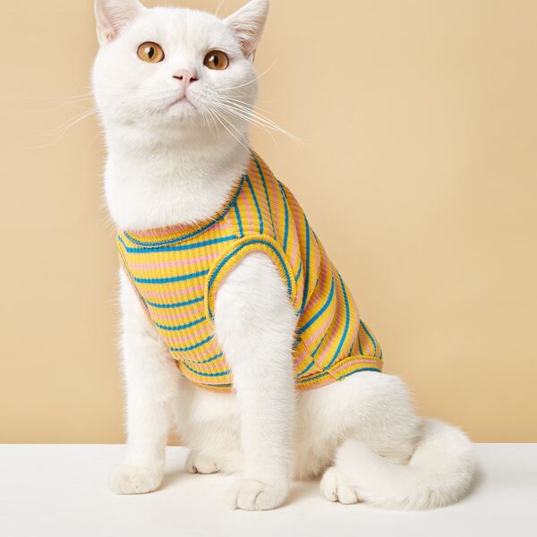 

Striped Pattern Pet Tank Top, Multicolor