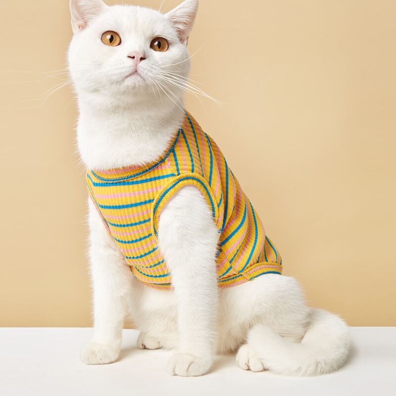 

Striped Pattern Pet Tank Top, Multicolor