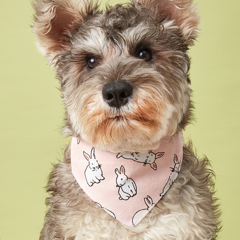 

Rabbit Print Easter Pet Scarf, Pink