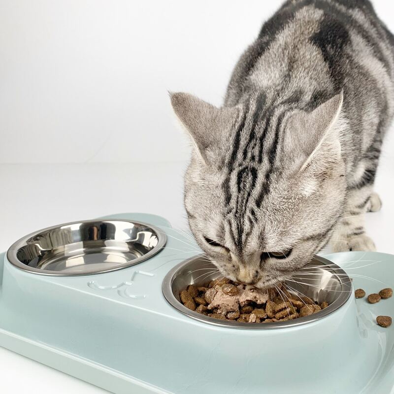 

1pc Stainless Steel Leak-proof Pet Bowl, Blue