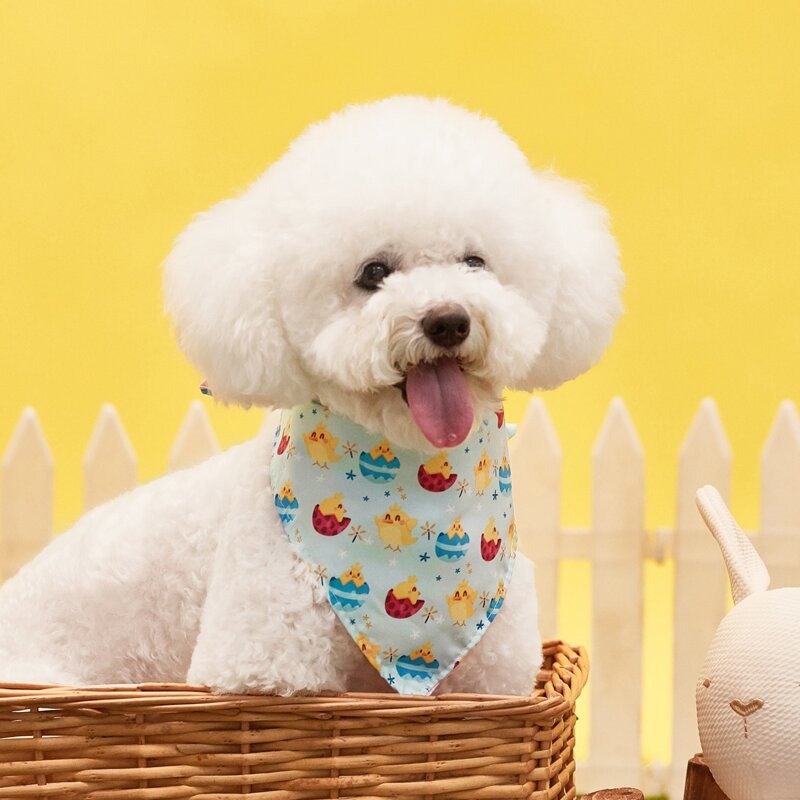 

Cartoon Graphic Easter Pet Scarf, Multicolor
