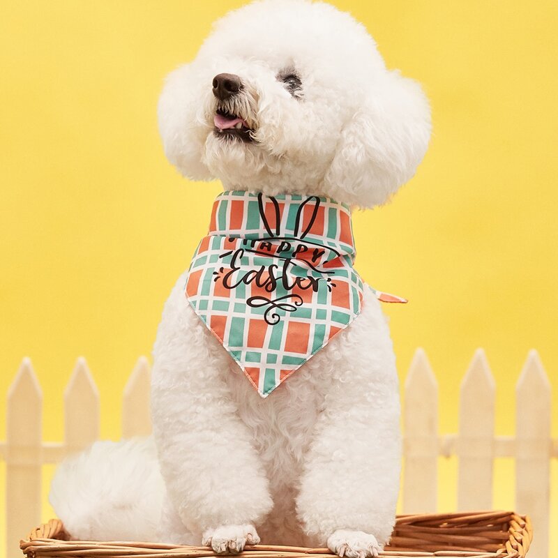 

Easter Bunny Print Pet Bandana, Multicolor