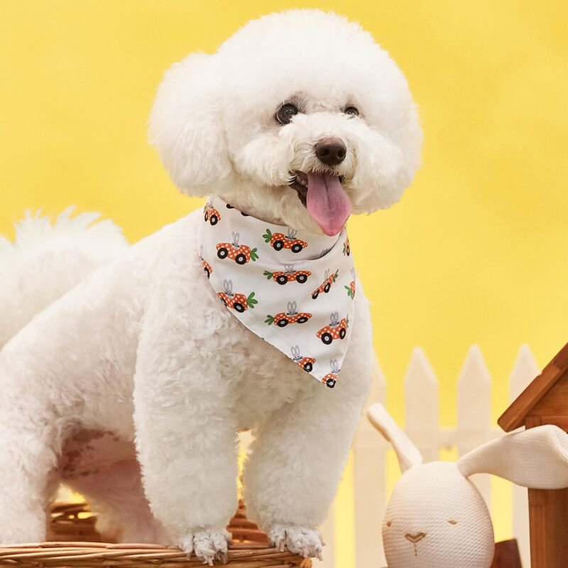 

Cartoon Graphic Easter Pet Scarf, Multicolor