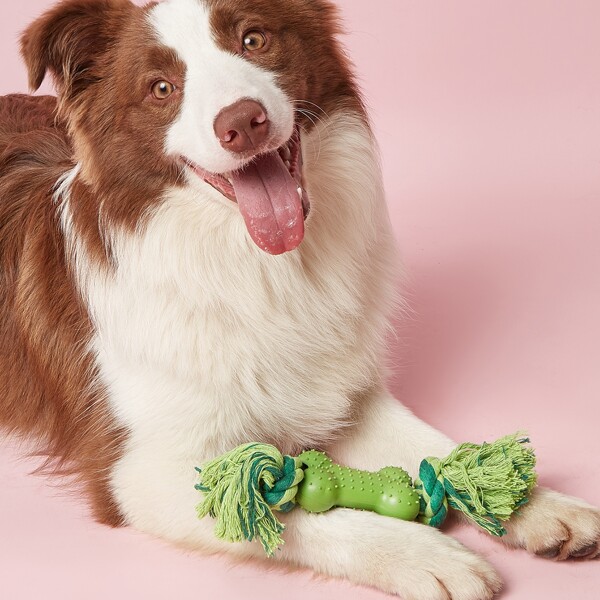 

1pc Bone Shaped Pet Chew Toy, Green