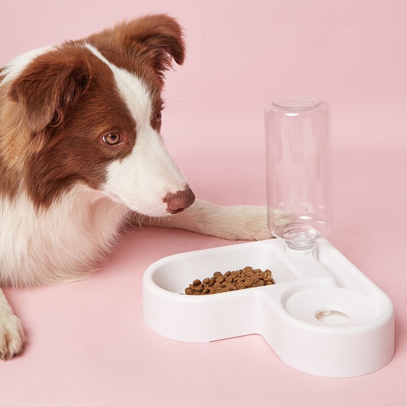 

1set Heart Shaped Pet Bowl With Drinking Bottle, White