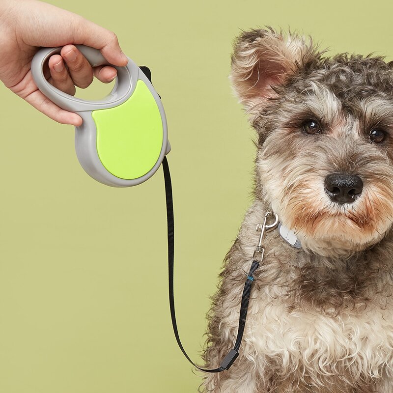 

1pc Retractable Pet Leash, Green