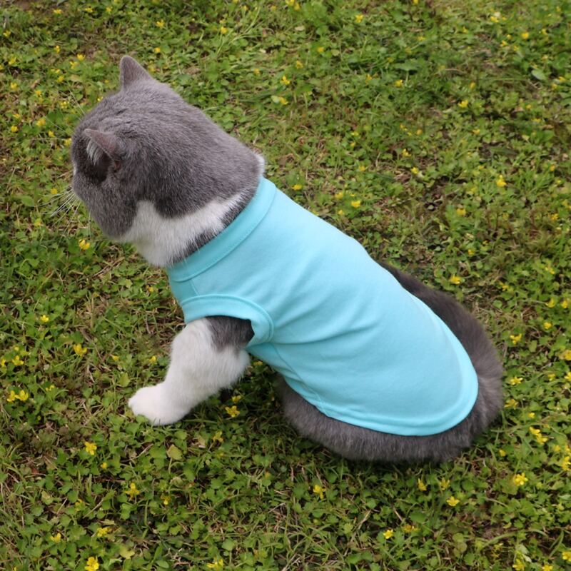 

Solid Color Pet Tank, Baby blue