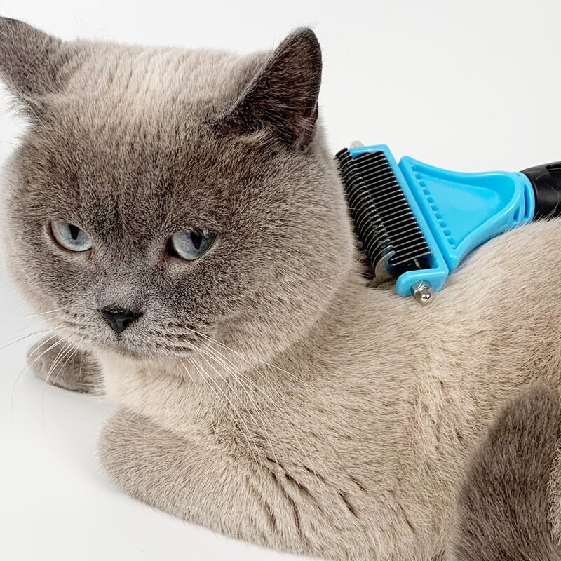 

1pc Double-sided Pet Hair Comb, Blue