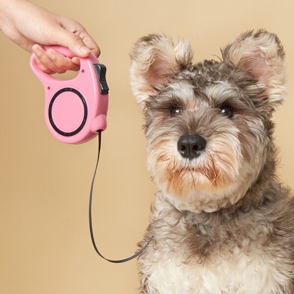 

1pc Random Retractable Pet Leash, Multicolor