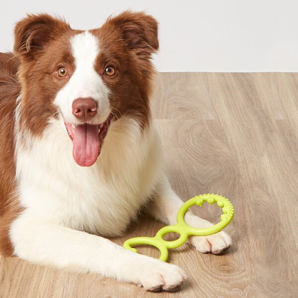 

1pc Ring Shaped Random Color Pet Chew Toy, Multicolor