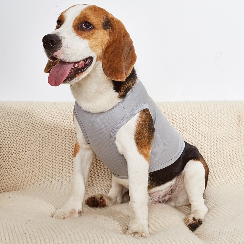 

Solid Color Pet Tank, Light grey