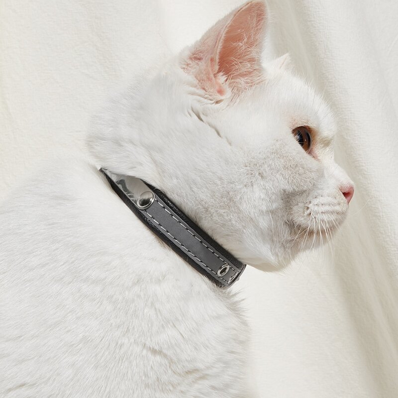 

1pc Plain Pet Collar, Grey