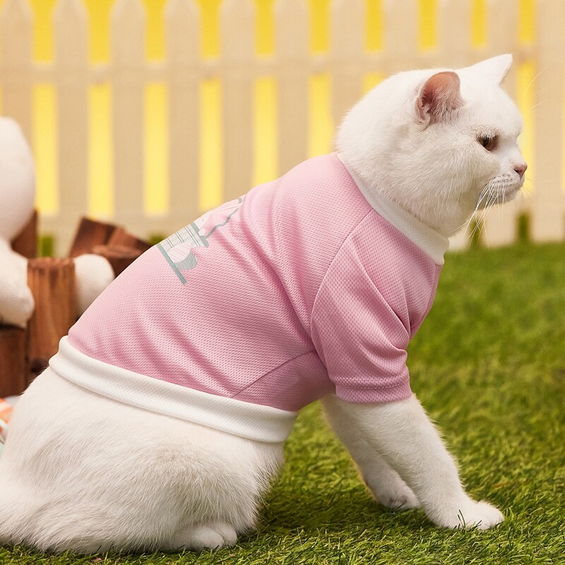 

Cartoon Graphic Easter Pet Tee, Pink
