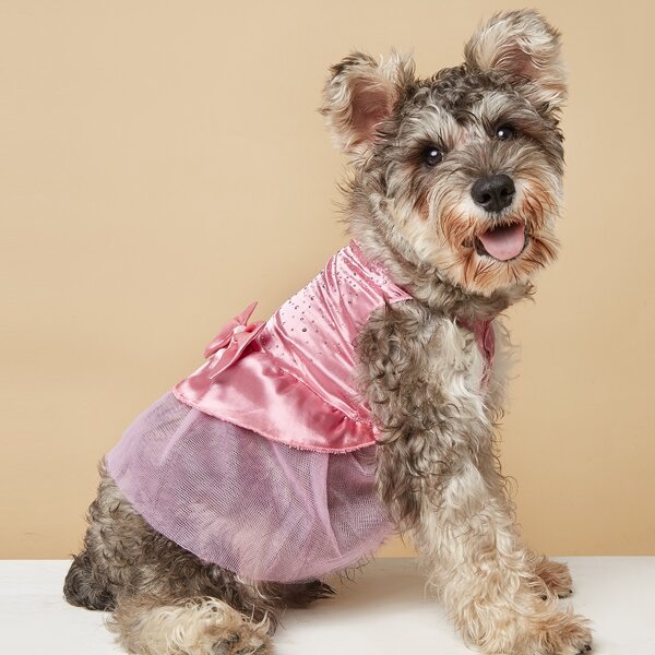 

Bow Decor Pet Dress, Pink