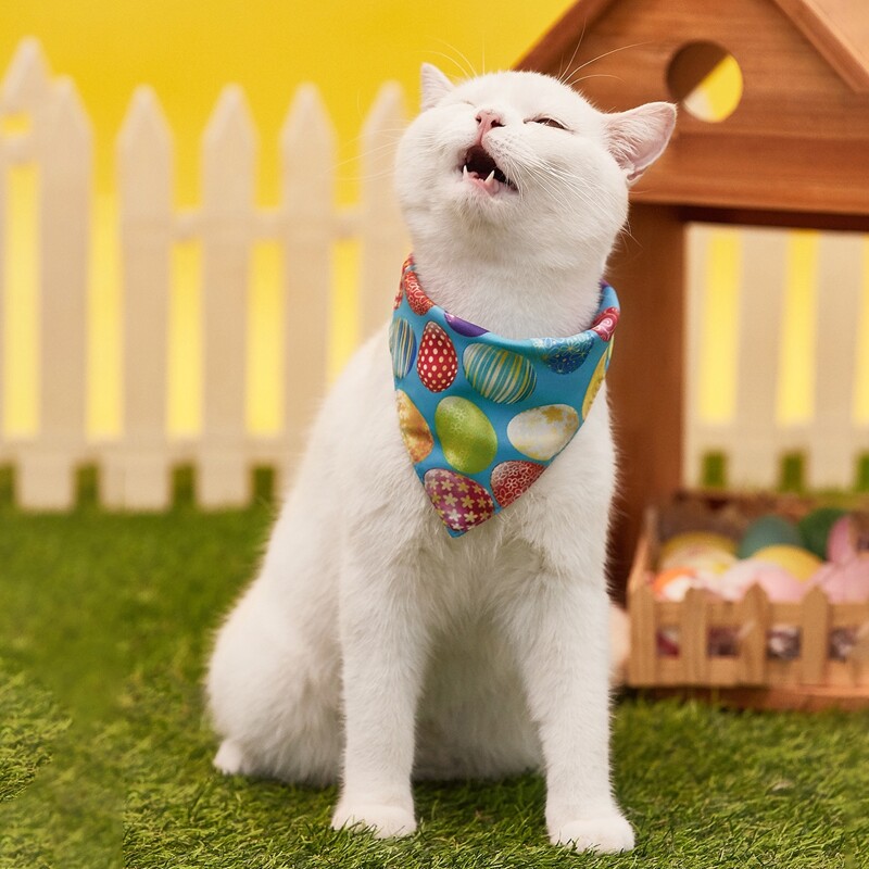 

Easter Egg Print Pet Bandana, Multicolor