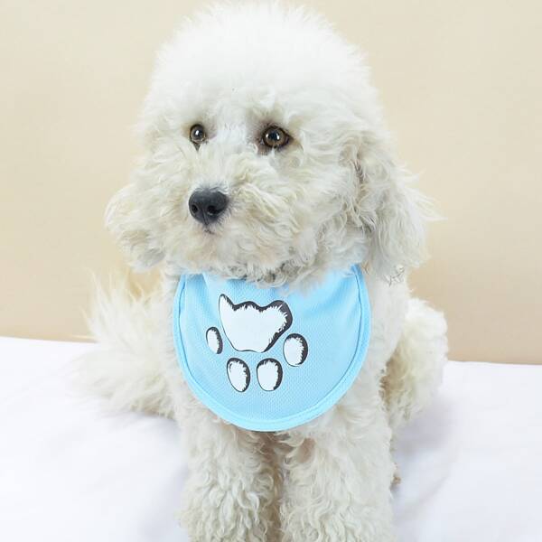 

Paw Print Pet Bandana, Baby blue