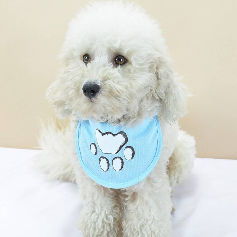 

Paw Print Pet Bandana, Baby blue