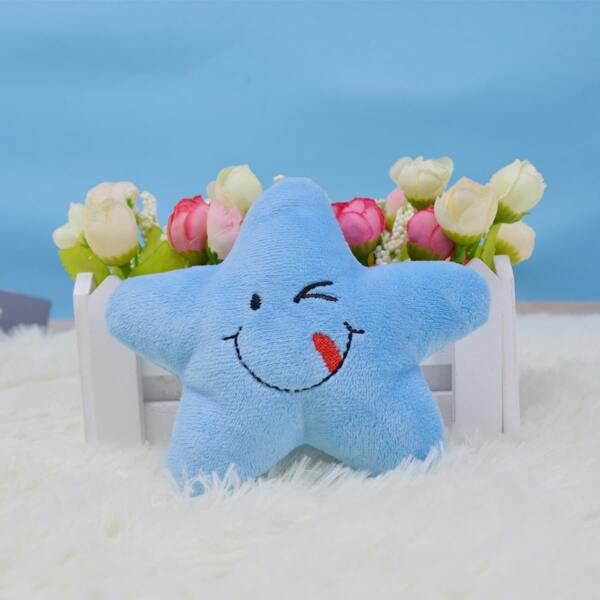 

Cartoon Star Pet Plush Toy, Blue