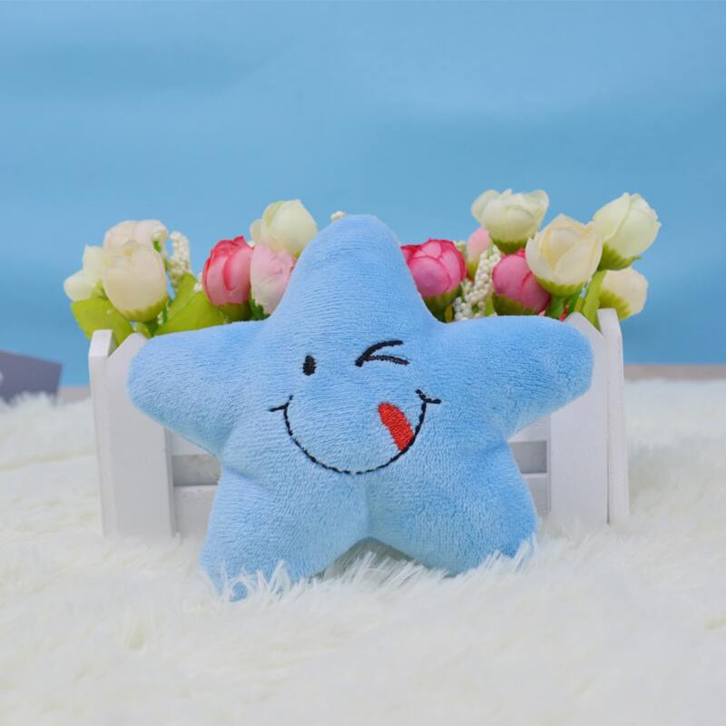 

Cartoon Star Pet Plush Toy, Blue
