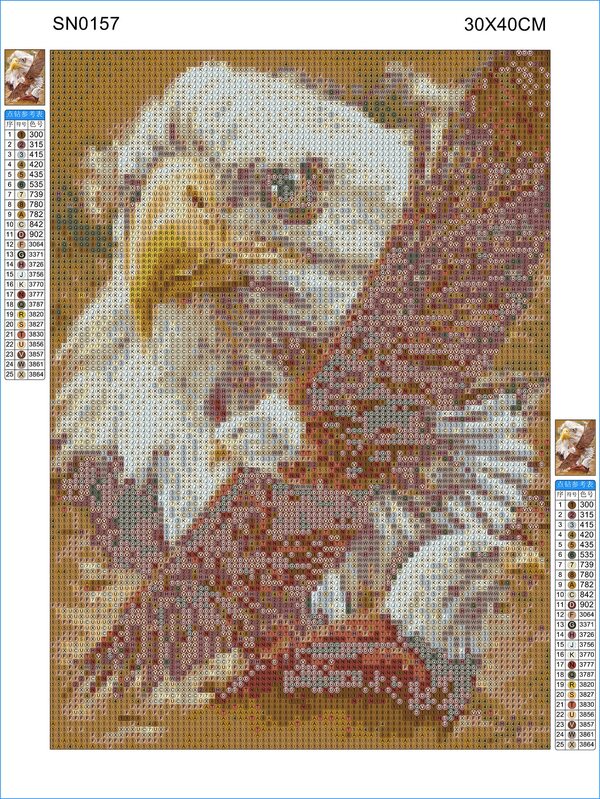Eagle Print Diy Diamond Unframed Painting Shein In