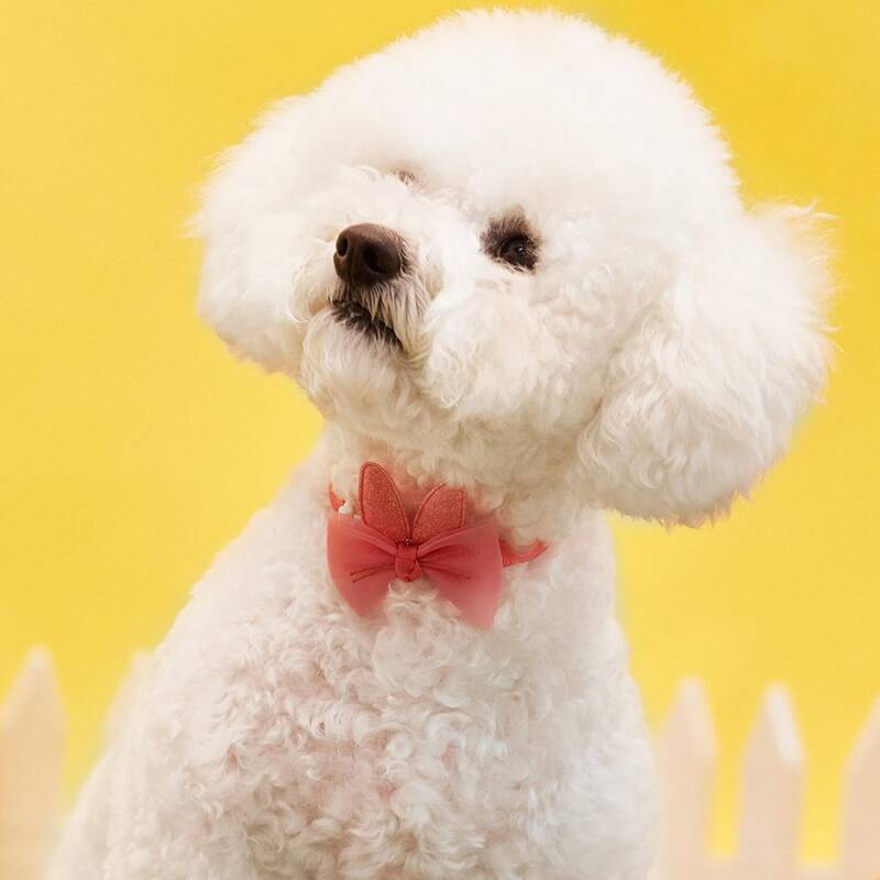 

Rabbit Ear Detail Pet Bow, Watermelon pink