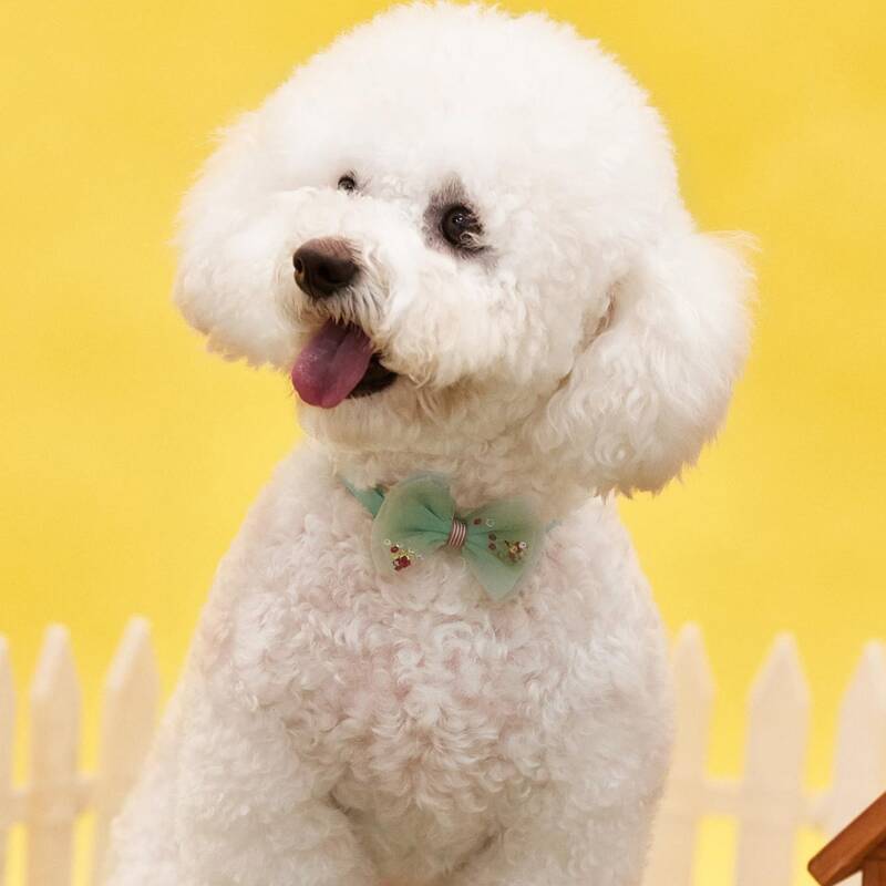 

Easter Mesh Pet Bow, Blue