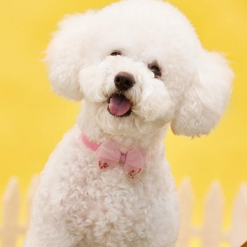 

Easter Mesh Pet Bow, Pink