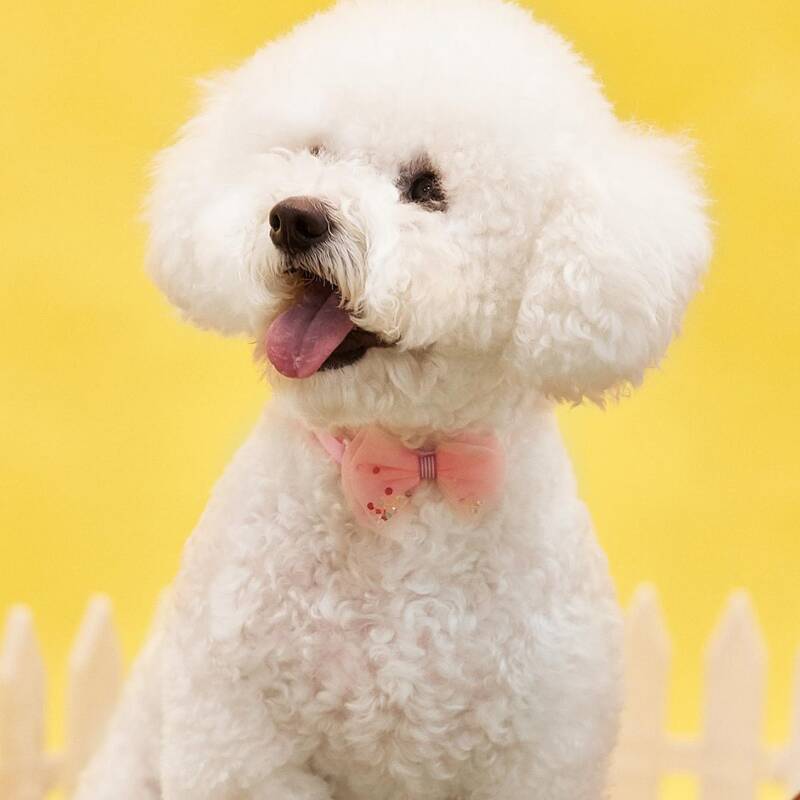 

Easter Mesh Pet Bow, Baby pink