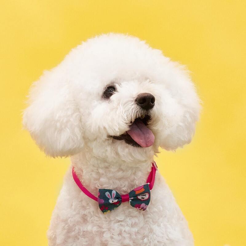 

Rabbit Print Easter Pet Bow, Hot pink