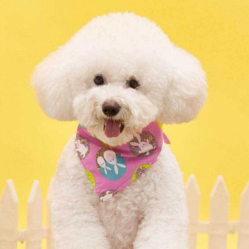 

Easter Bunny Print Pet Bandana, Multicolor