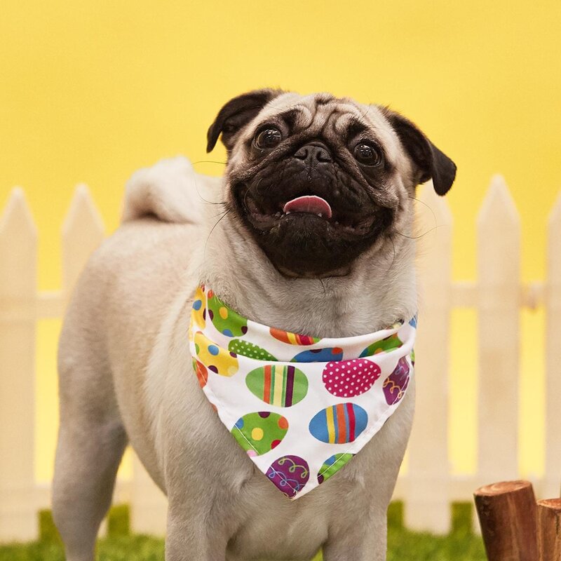 

Easter Egg Print Pet Bandana, Multicolor