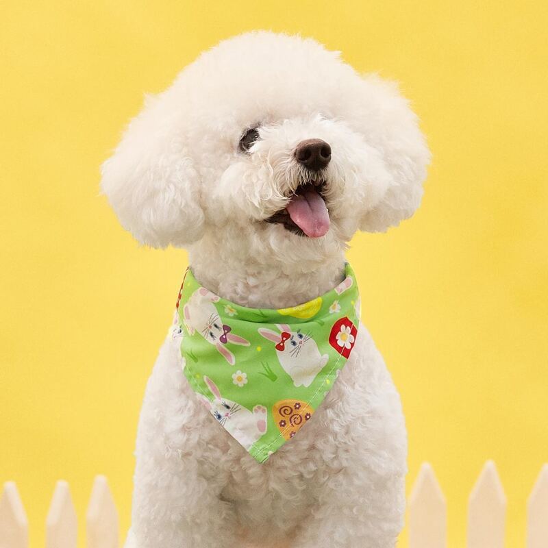 

Easter Bunny Print Pet Bandana, Green