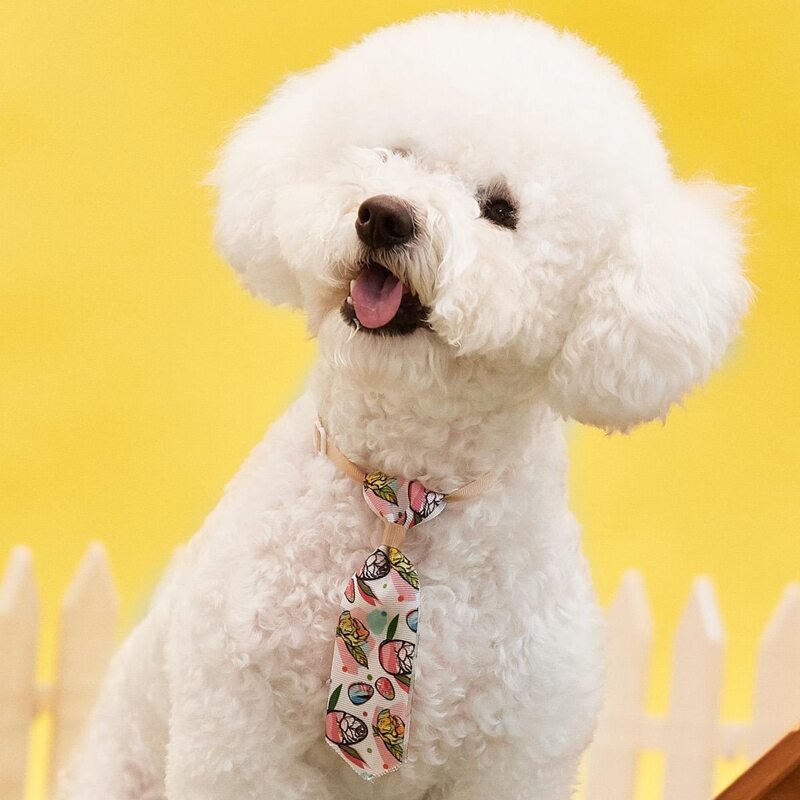 

Egg Print Easter Pet Tie, Multicolor