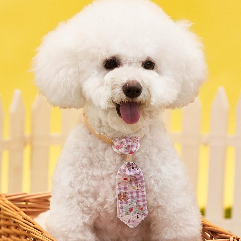

Rabbit Print Easter Pet Tie, Multicolor