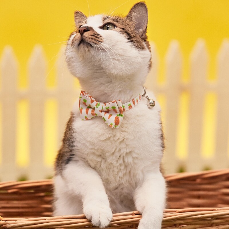 

1pc Random Pattern Easter Pet Bow, Multicolor