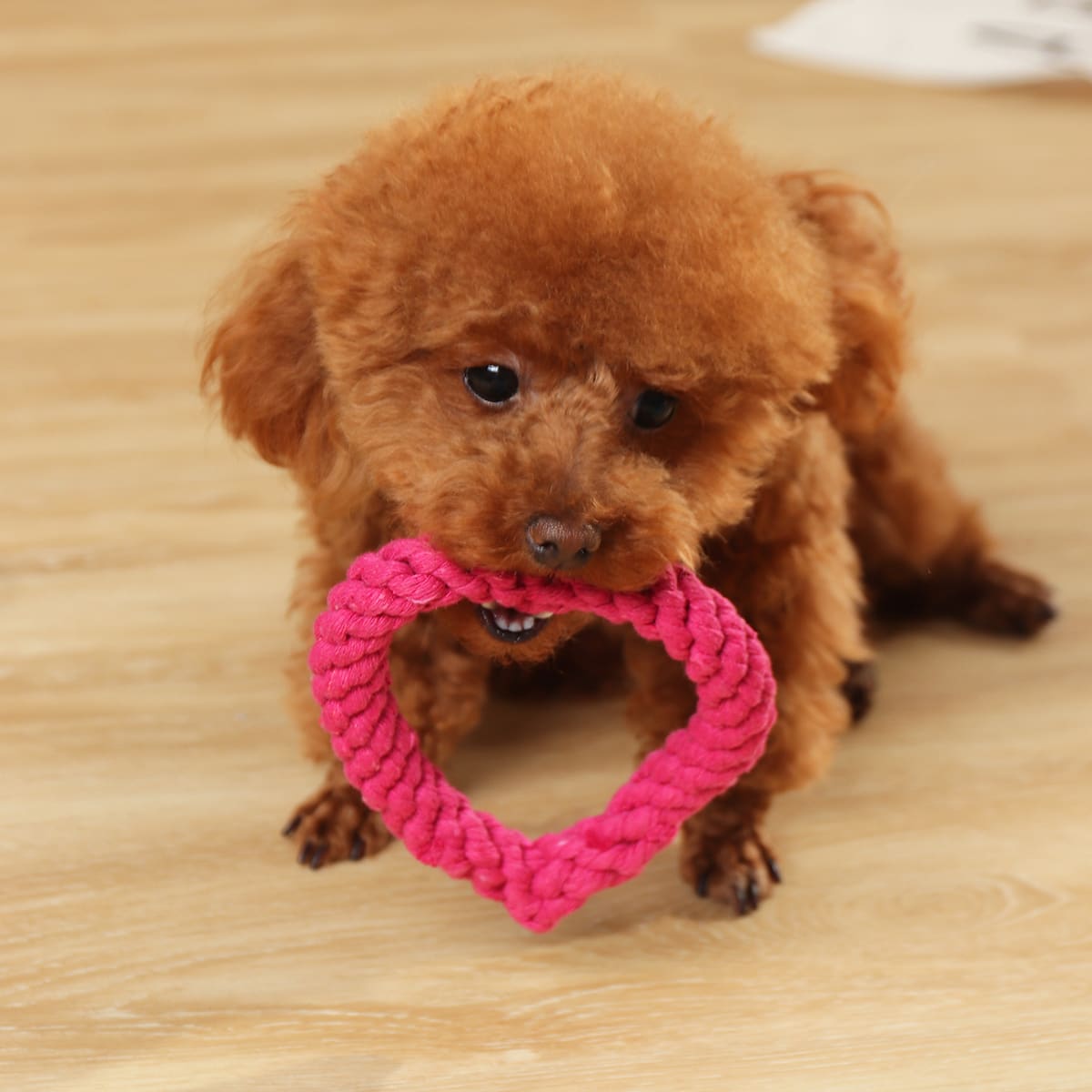 

1pc Woven Heart Pet Chew Toy, Hot pink