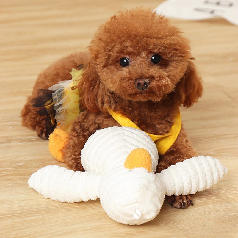 

Cartoon Pet Plush Toy, White