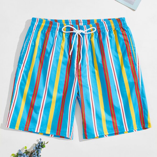 

Men Striped Print Drawstring Shorts, Multicolor