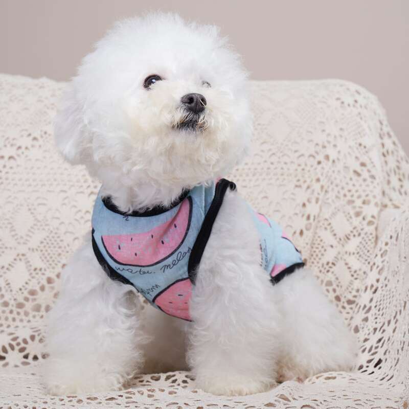 

Watermelon Print Pet Tank Top, Blue