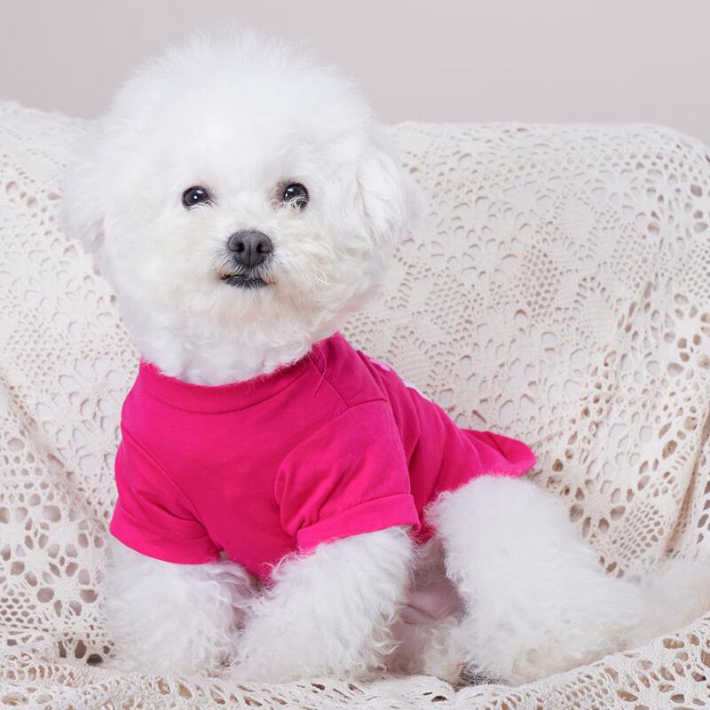 

Slogan Graphic Pet Tee, Hot pink