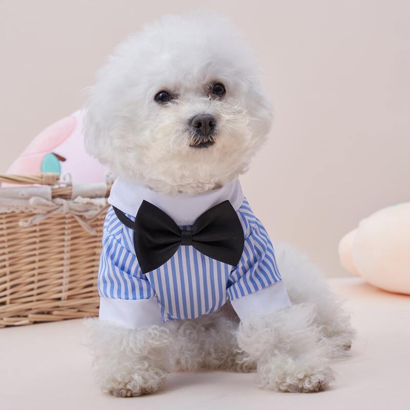 

Striped Pattern Pet Shirt, Blue and white