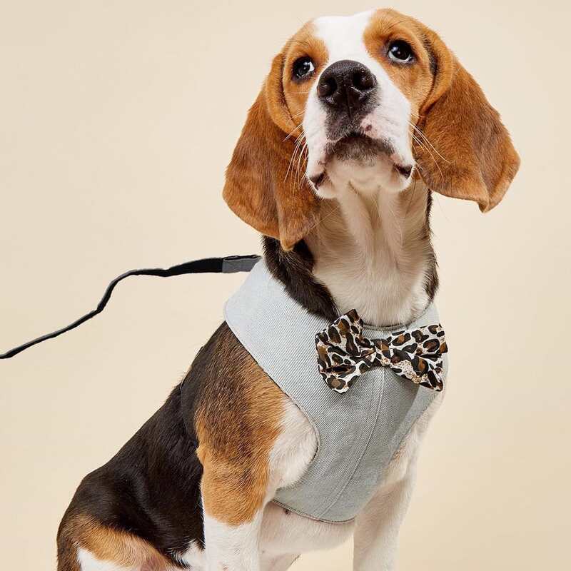 

1pc Bow Decor Pet Harness & 1pc Leash, Light grey