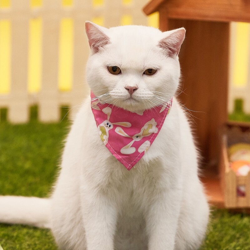 

Easter Rabbit Print Pet Bandana, Pink