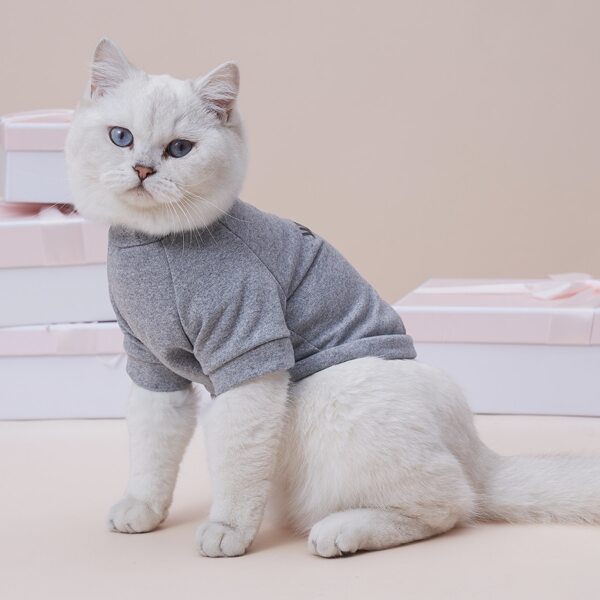 

Letter Graphic Pet Tee, Grey